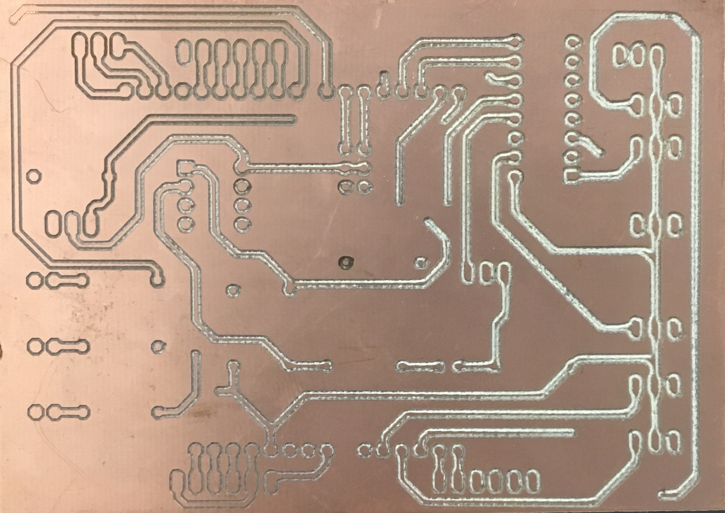 board image